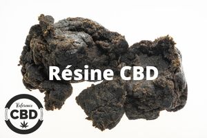 Résine de CBD (cannabidiol) cannabis légal en résine
